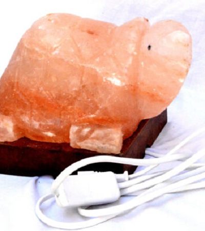 Lampade-di-sale-himalaya-tartaruga-1-bicibio-bioprofumeria