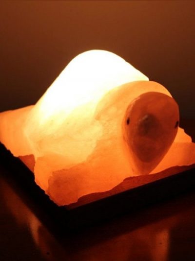 Lampade-di-sale-himalaya-tartaruga-bicibio-bioprofumeria