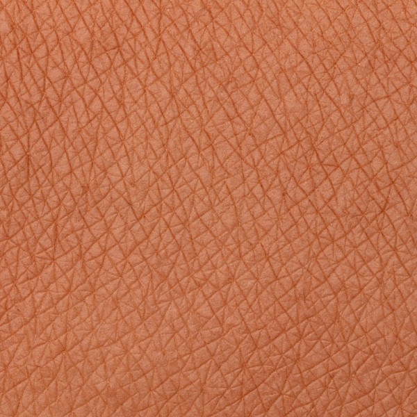 flat-perfection-velvet-bronze-cipria-abbronzante-5-neve-cosmetics