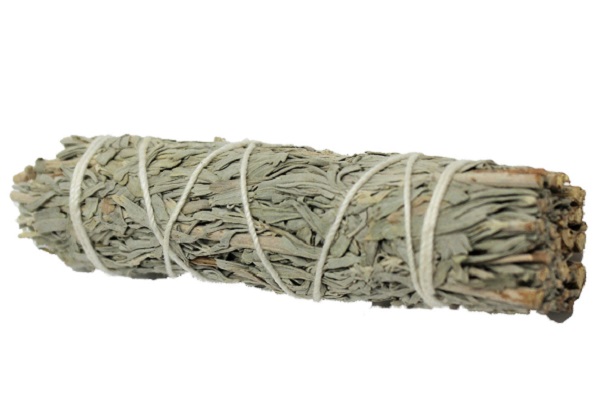 salvia-blu-smudge-1-voganto