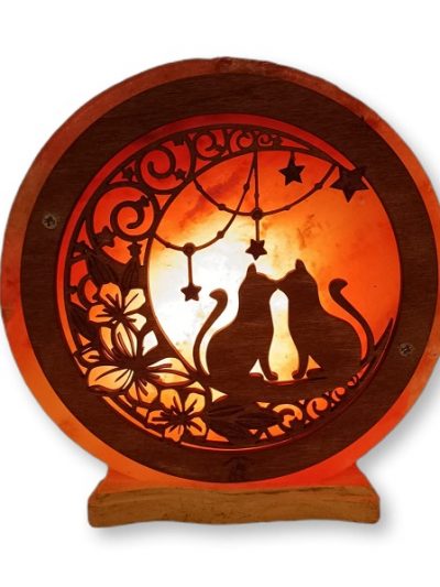 lampada-di-sale-himalaya-gatti-al-chiaro-di-luna-bicibio-bioprofumeria