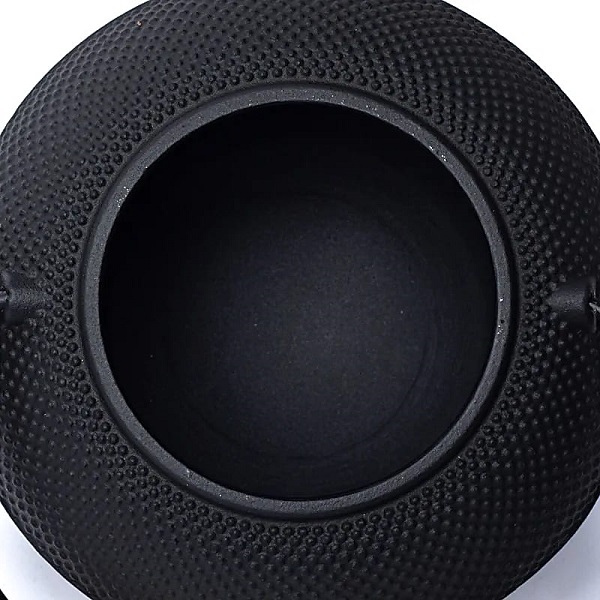 teiera-tetsubin-in-ghisa-da-12-litri-nero-4-bicibio-bioprofumeria