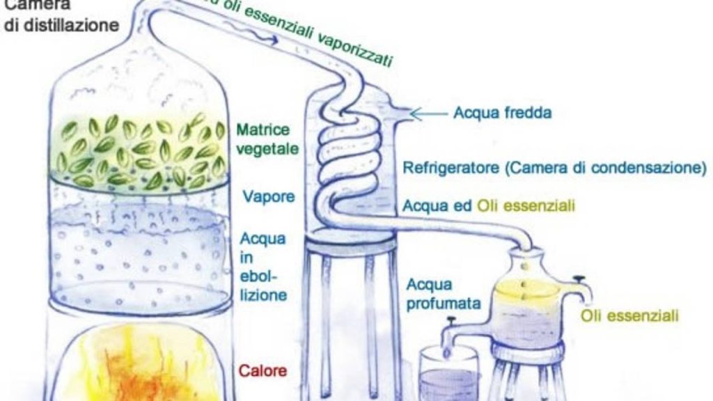 aromaterapia con oli essenziali puri
