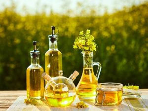 gli-oli-vegetali-dalla-natura-per-la-nostra-salute-e-bellezza-bicibio-bio-profumeria-palermo