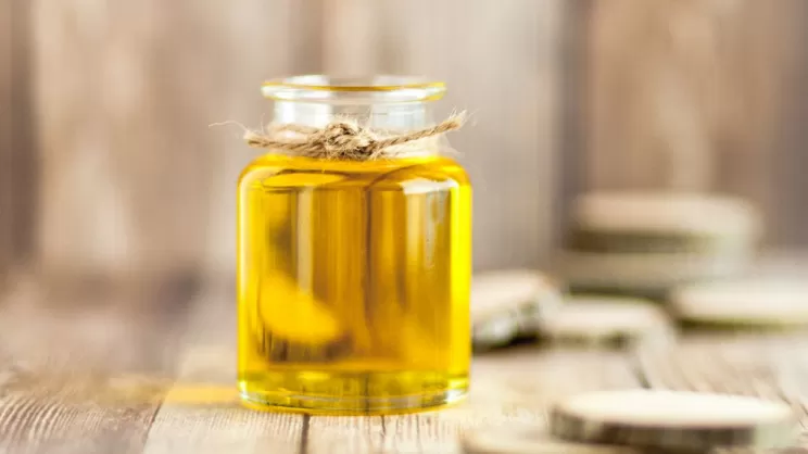 L’Albero del Baobab: un Gigante Millenario e Sacro