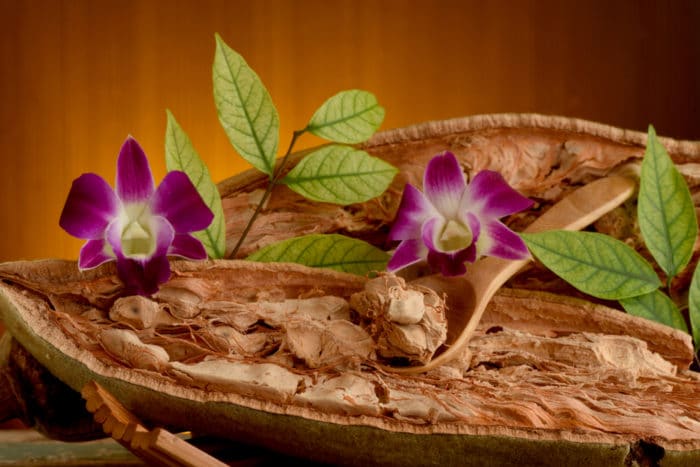 olio-di-baobab-storia-millenaria