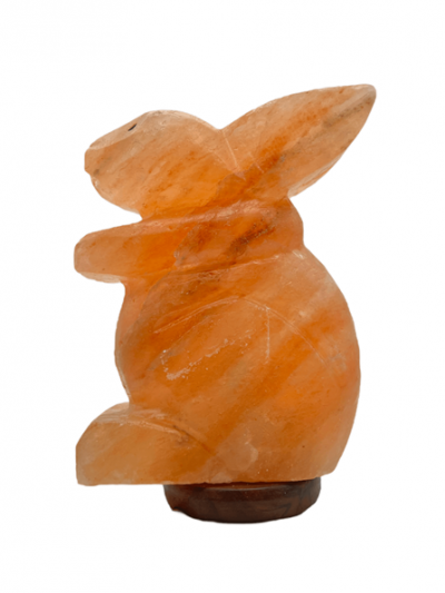 Lampada-di-sale-Himalayano-Rosa-a-forma-di-Coniglio-4-kg-00-BiciBio-Bioprofumeria-Palermo