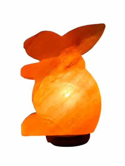 Lampada-di-sale-Himalayano-Rosa-a-forma-di-Coniglio-4-kg-BiciBio-Bioprofumeria-Palermo