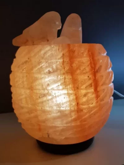 lampada-di-sale-himalayano-rosa-nido-originale-1-bicibio-bioprofumeria