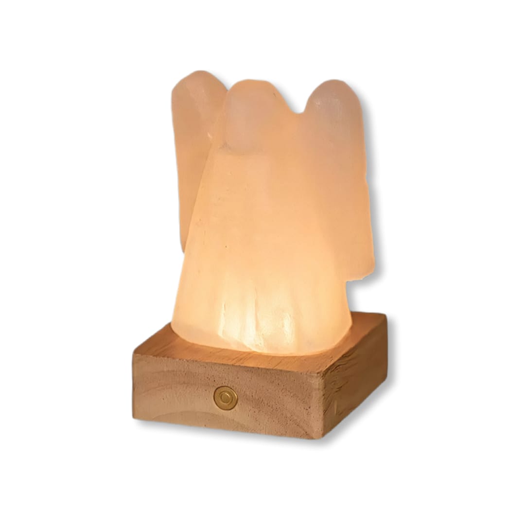Lampada angelo in sale rosa himalayano con luce LED RGB multicolore ricaricabile Palermo