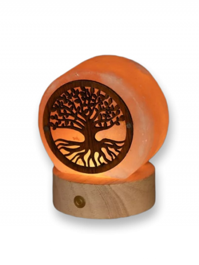 Lampada di Sale Himalayano Albero della Vita artigianale a batteria con luce naturale LED – Lampade di sale Palermo BiciBio