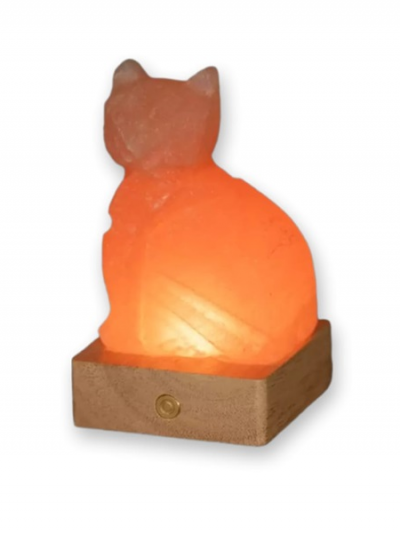 Lampada di sale himalayano gatto rosa con luce LED RGB a batteria disponibile a Palermo Sicilia