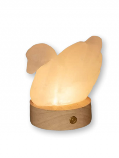 lampada di sale himalayano a forma di cigno con luce LED RGB a batteria disponibile a Palermo Sicilia