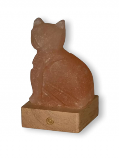 Lampada di sale himalayano a batteria a forma di gatto RGB in vendita a Palermo Sicilia BiciBio Bioprofumeria