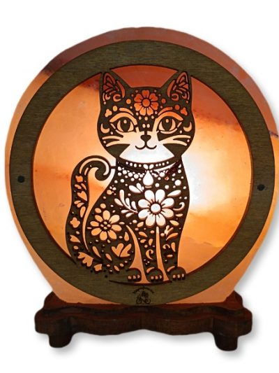 Lampada di Sale Himalayano Gatto Personalizzata Artigianale 5 Kg Bicibio Palermo