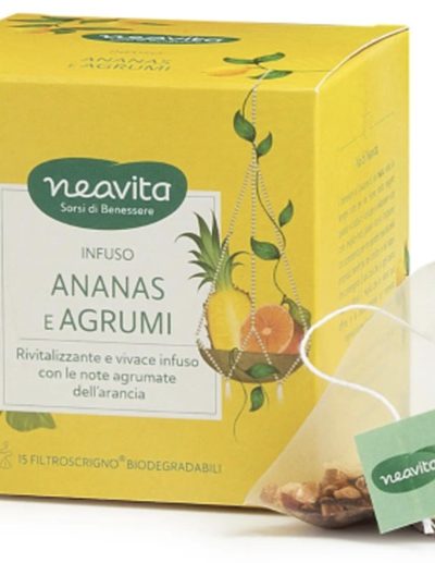 Tisana fruttata mela ibisco rosa canina agrumi 15 filtri Palermo Sicilia